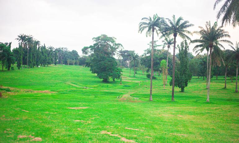 Open Space